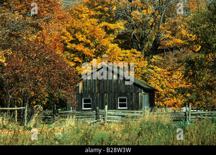 Le bâtiment de ferme en bois au soleil en automne lumière du soir avec feuillage d'automne,est utilisé pour le stockage du matériel agricole et du bétail, semences Banque D'Images