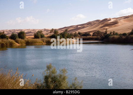 La Libye Sahara Oasis Lac Um El Ma Banque D'Images