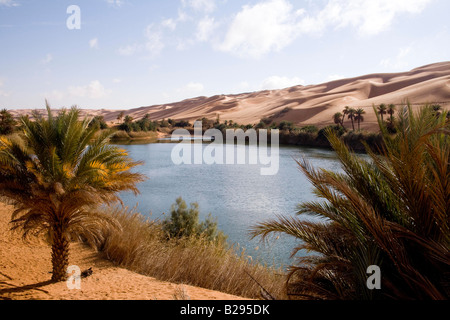 La Libye Sahara Oasis Lac Um El Ma Banque D'Images