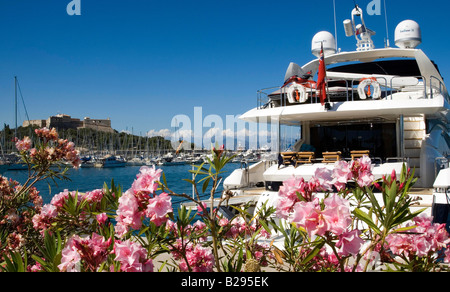 Antibes sud de la France le 11 03 2008 Date de port Ref ZB726 1111450007 CRÉDIT OBLIGATOIRE Sem - Allemand Photos du Monde Banque D'Images