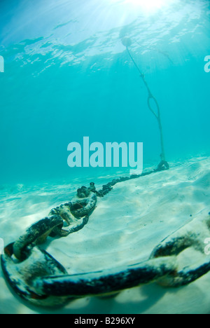 Une bouée d'ancre et la chaîne sous l'eau dans les Bermudes Banque D'Images