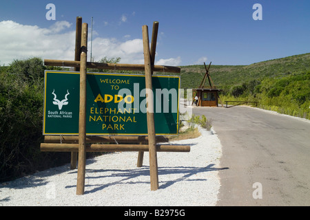 Addo Elephant National Park, Afrique du Sud Garden Route Ref WP TARU 0006610038 CRÉDIT OBLIGATOIRE Sem - Allemand Photos du Monde Banque D'Images