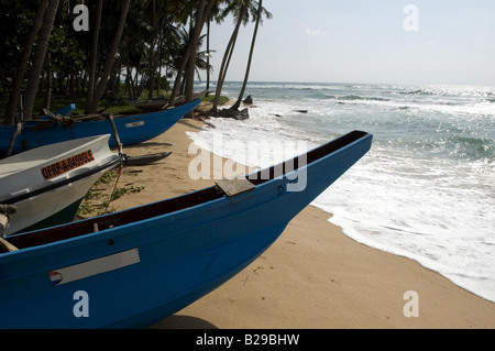 Bateaux de pêche près de galle Sri Lanka Date 20 04 2008 réf : ZB648 1152610045 CRÉDIT OBLIGATOIRE Sem - Allemand Photos du Monde Banque D'Images