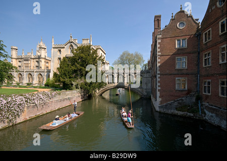 Promenades en barque sur la rivière Cam Cambridge Royaume Uni Banque D'Images