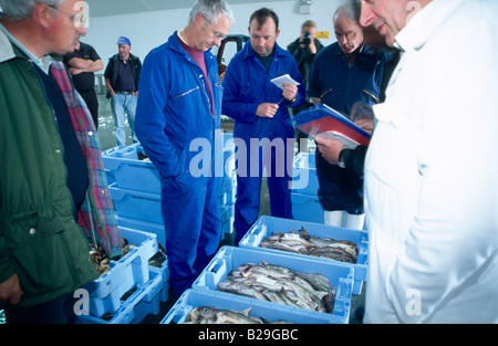 Vente aux enchères du poisson hall / Saint Antonin Banque D'Images