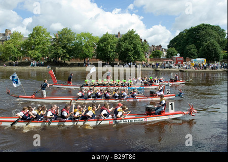 La course de bateaux-dragons sur la rivière Ouse York UK un événement annuel impliquant des entreprises locales à recueillir des fonds pour la charité Banque D'Images