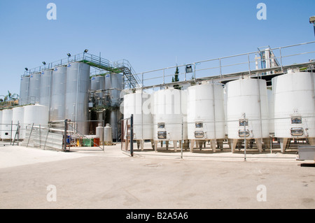 Israël basse Galilée Tabor Winery cuves de fermentation Banque D'Images