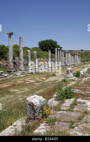 La Chaussée romaine et la colonnade EN PERGE, Turquie. Banque D'Images