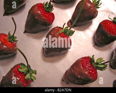 Des fraises au chocolat plats fraîchement préparés Banque D'Images