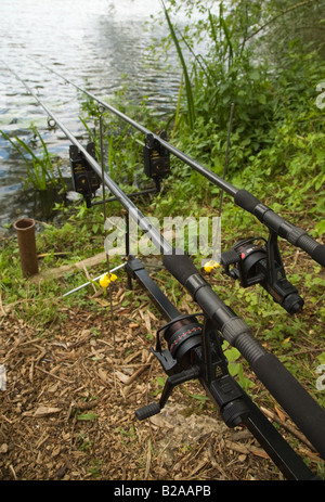 Cannes et moulinets de pêche mis en place avec les alarmes électroniques bouchée pour attraper la carpe par le côté de lac Farlow Iver Bucks UK Banque D'Images