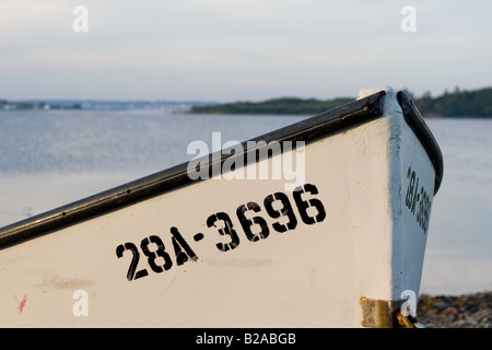 dory pêche Banque D'Images