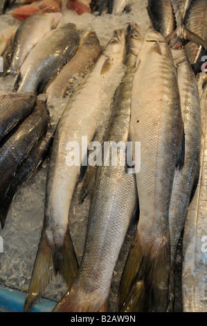 Poisson frais à vendre , marché , mahachai mahachai, samutsakhon,Thailand Banque D'Images