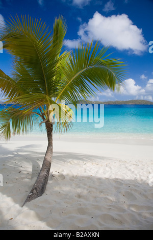 Salomon Beach dans le parc national des Îles Vierges sur l'île des Caraïbes de St John dans les îles Vierges américaines Banque D'Images