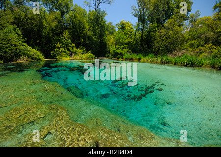 Ichetucknee Springs State Park, Floride Banque D'Images