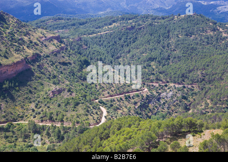 Sur la montagne dans le Parc Naturel Sierra de las Nieves La province de Malaga Espagne Banque D'Images