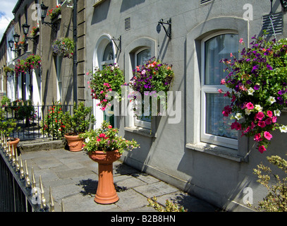 Paniers suspendus et pots de fleurs bedeck l'extérieur d'une maison dans le comté de Dublin Irlande Skerries Banque D'Images