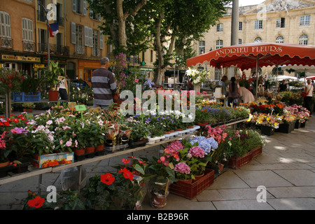 L'affichage à l'usine de fleurs et de marché en place de l'Hôtel de Ville, Aix en Provence, dans le sud de la France. Banque D'Images