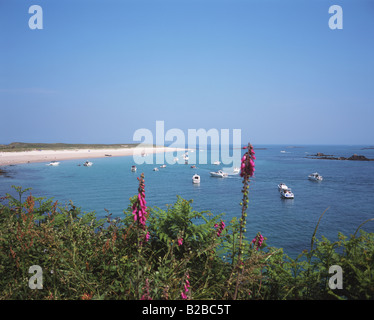 Shell Beach Herm Channel Islands Banque D'Images