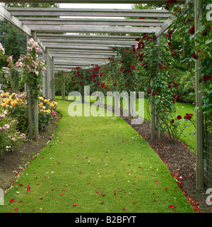 Jardin de roses de la Belfast Rose semaine, Lady Dixon Park. Banque D'Images