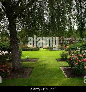 Jardin de roses de la Belfast Rose semaine, Lady Dixon Park. Banque D'Images