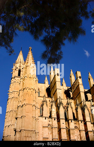 Palma de Majorque, Kathedral La Seu, Majorque, Îles Baléares, Europa Banque D'Images