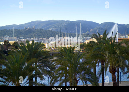 Parc de la Mar avec palmiers, et au bord de la fontaine. Palma de Mallorca, Majorque, Espagne, Europe Banque D'Images