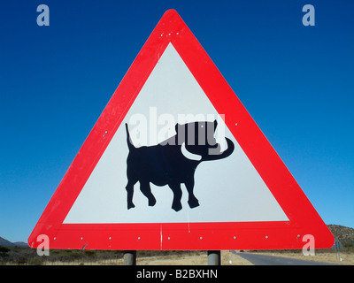 Road sign, méfiez-vous des phacochères, passage à niveau, près de Otjiwarongo, Namibie, Afrique Banque D'Images