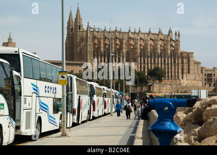 Vue de Sa Cathédrale Seu de la plage à Palma de Majorque, Majorque, Îles Baléares, Espagne, Europe Banque D'Images