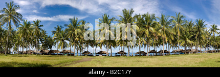 Huttes dans une plantation de palmiers sur la plage, l'île de Lombok, région des îles de la sonde Lesser, Indonésie, Asie Banque D'Images