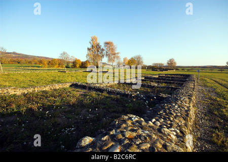 Vestiges d'un mur roman estate par Schlatt am Randen, Hegau, comté de Konstanz, Bade-Wurtemberg, Allemagne, Europe Banque D'Images