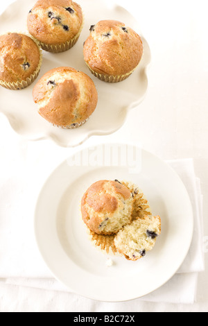 Une plaque de muffins aux bleuets. Banque D'Images