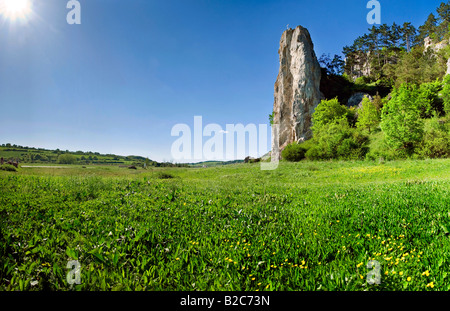 Massif à Burgstein Denkendorf dans l'Altmuehltal Valley Nature Park, Bavaria, Germany, Europe Banque D'Images