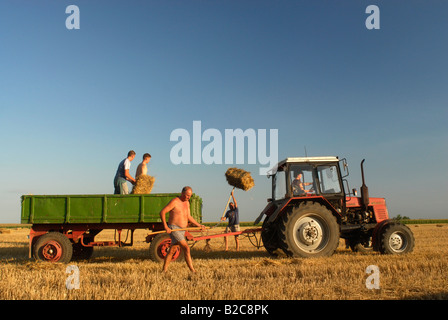 Empilage de ballots de paille sur la remorque du tracteur dans le champ de chaume Comté Bekes Hongrie Europe du Sud Banque D'Images