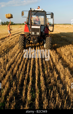 Empilage de ballots de paille sur la remorque du tracteur dans le champ de chaume Comté Bekes Hongrie Europe du Sud Banque D'Images