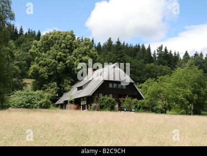 Forêt Noire ferme à Groppertal près de Villingen Banque D'Images