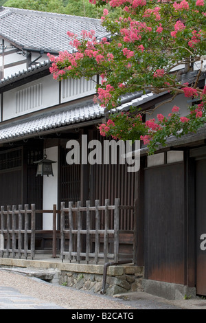 Belle scène Japanesque d'une ancienne résidence traditionnelle avec lanterne suspendue et l'arbre en fleurs dans la cour à Kyoto Banque D'Images