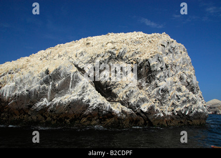 Falaise rocheuse couverte de guano en îles Ballestas dans le Parc National de Paracas, l'océan Pacifique, le Pérou, Amérique du Sud Banque D'Images