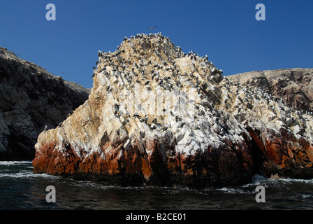 Rock formation à l'île de Ballestas dans le Parc National de Paracas, l'océan Pacifique, le Pérou, Amérique du Sud Banque D'Images