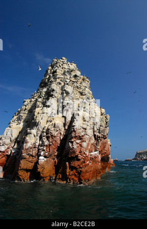 Rock formation à l'île de Ballestas dans le Parc National de Paracas, l'océan Pacifique, le Pérou, Amérique du Sud Banque D'Images