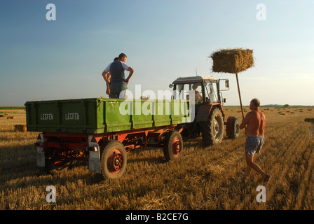 Empilage de ballots de paille sur la remorque du tracteur dans le champ de chaume Comté Bekes Hongrie Europe du Sud Banque D'Images