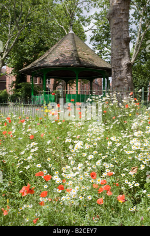Kiosque et fleurs de printemps. Arnold Circus, Boundary Estate, Tower Hamlets, London, England Banque D'Images