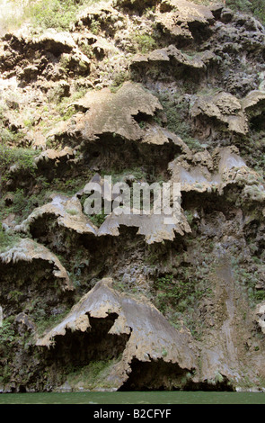 La chute des arbres de Noël, Canyon du Sumidero et fleuve Grijalva, État du Chiapas, Mexique Banque D'Images