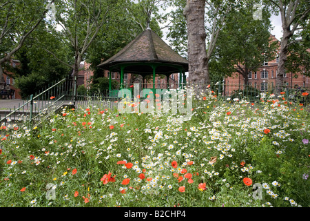 Kiosque et fleurs de printemps. Arnold Circus, Boundary Estate, Tower Hamlets, London, England Banque D'Images