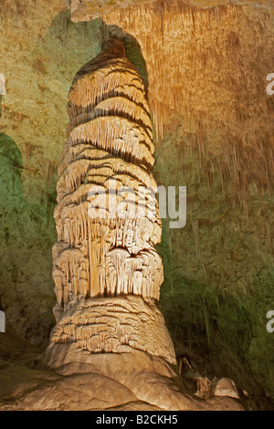 La plus grande des stalagmites,'le dôme géant", dans le hall de géants à Carlsbad Caverns. Banque D'Images