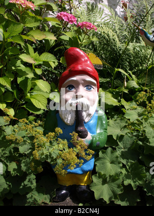 Alchemilla mollis, lady's mantle Banque D'Images