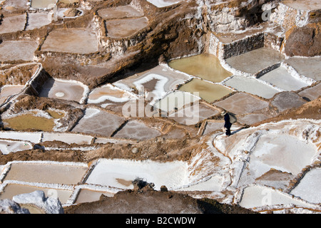 L'homme locaux travaillant sur les salines de Maras sur une montagne au-dessus de l'Urubamba au Pérou Banque D'Images