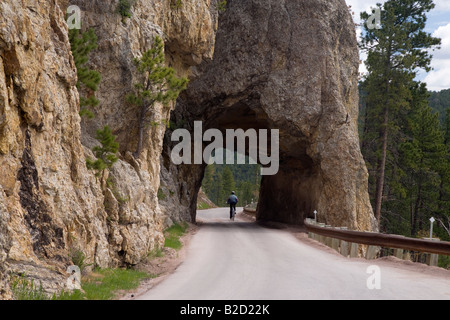 Sur le cycliste Peter Norbeck Scenic Byway, Custer State Park, Black Hill, le Dakota du Sud Banque D'Images