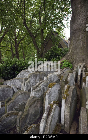 L'arbre rustique, cimetière de St Pancras, Londres Banque D'Images