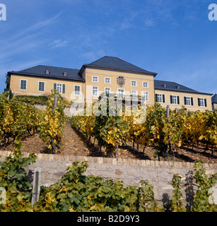 Schloss Johannisberg au-dessus des vignes avec vue sur le Rhin Banque D'Images