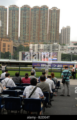 Les joueurs sur un dimanche après-midi , hippodrome Happy Valley , l'île de hong kong Banque D'Images